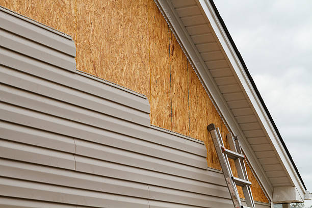 Professional Siding Inspection technician working in Batavia, IL